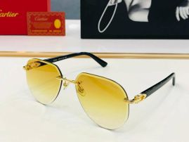 Picture of Cartier Sunglasses _SKUfw55828107fw